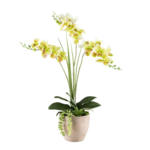 Möbelix Kunstpflanze Orchideen Braun/Gelb/Grau/Grün, 55 cm