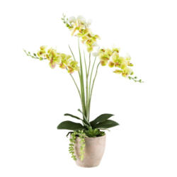 Kunstpflanze Orchideen Braun/Gelb/Grau/Grün, 55 cm