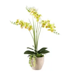 Kunstpflanze Orchideen Braun/Gelb/Grau/Grün, 55 cm