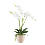 Möbelix Kunstpflanze Orchideen Braun/Grau/Grün/Weiß, 55 cm