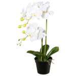 Möbelix Kunstpflanze Orchidee Weiß, H: 55 cm