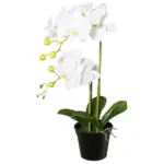Möbelix Kunstpflanze Orchidee Weiß, H: 55 cm