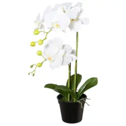 Kunstpflanze Orchidee Weiß, H: 55 cm