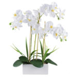 Möbelix Kunstpflanze Orchideen Grün/Weiß, 58 cm