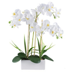 Kunstpflanze Orchideen Grün/Weiß, 58 cm