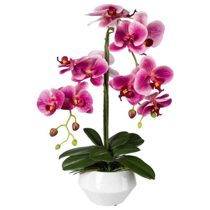 Kunstpflanze Orchideen Dunkelrosa, inkl.topf, H:52 cm