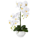 Möbelix Kunstpflanze Orchideen Weiß, inkl. Topf, H: 52 cm