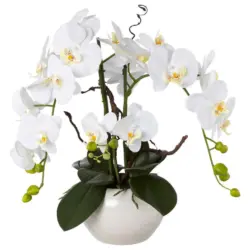 Kunstpflanze Orchideen Weiß, Topf: Weiß, H: 55 cm