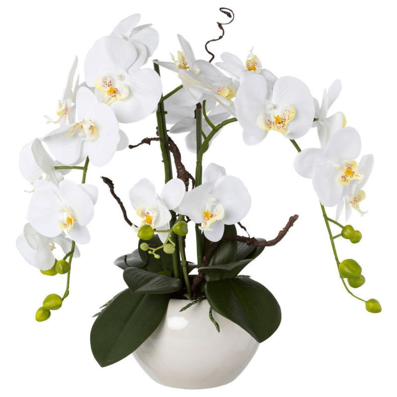 Kunstpflanze Orchideen Weiß, Topf: Weiß, H: 55 Cm