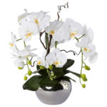 Möbelix Kunstpflanze Orchideen, Weiß Topf: Silberfarben, H: 55 cm