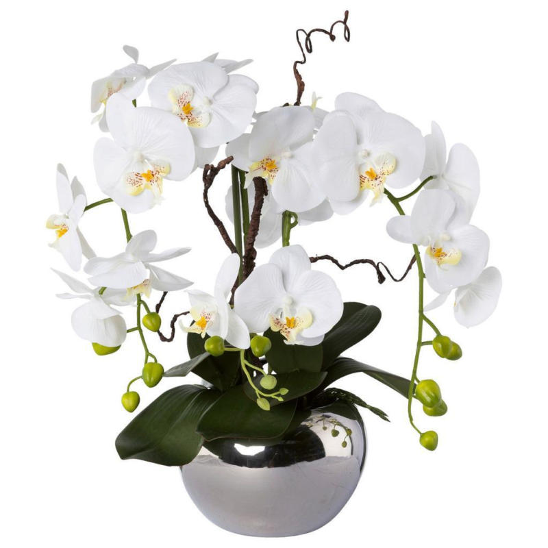 Kunstpflanze Orchideen, Weiß Topf: Silberfarben, H: 55 cm