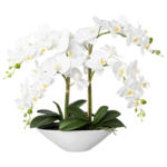 Möbelix Kunstpflanze Orchideen Weiß, Topf: Weiß, H: 53 Cm