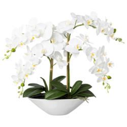 Kunstpflanze Orchideen Weiß, Topf: Weiß, H: 53 cm