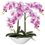 Möbelix Kunstpflanze Orchideen Lila, Topf: Weiß, H: 53 cm