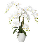 Möbelix Kunstpflanze Orchideen Weiß, Topf: Weiß, H: 67 cm