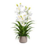 Möbelix Kunstpflanze Orchideen Weiß, Topf: Grau, H: 70 cm