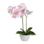 Möbelix Kunstpflanze Orchideen Rosa, Topf: Weiß, H: 33 cm