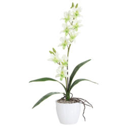 Kunstpflanze Orchideen Hellgrün, Topf: Weiß, H: 60 cm