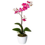 Möbelix Kunstpflanze Orchideen Rosa, Topf: Weiß, H: 55 cm