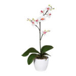 Möbelix Kunstpflanze Orchideen Weiß-Rosa,topf: Weiß, H: 55 cm