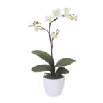 Möbelix Kunstpflanze Orchideen Creme, Topf: Weiß: H: 55 cm