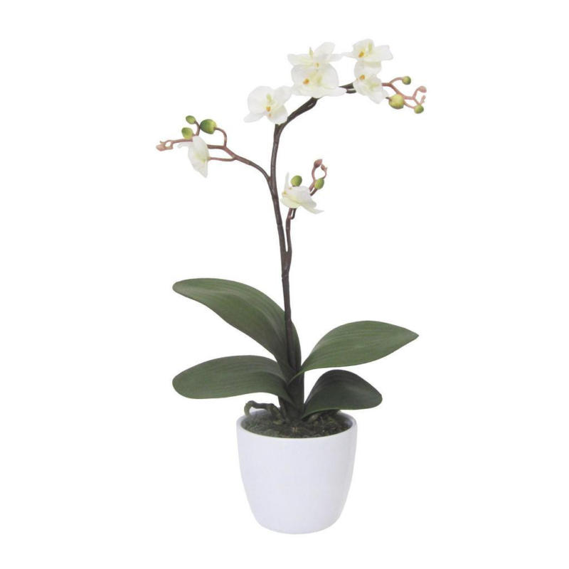 Kunstpflanze Orchideen Creme, Topf: Weiß: H: 55 cm