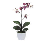 Möbelix Kunstpflanze Orchideen Lila, Topf: Weiß, H: 55 cm