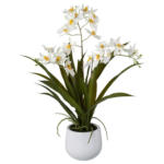 Möbelix Kunstpflanze Orchideen Weiß, Topf: Weiß, H: 50 cm