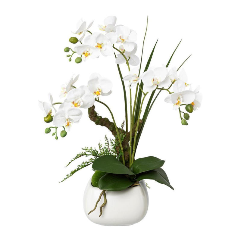 Kunstpflanze Orchideen Weiß, Topf: Weiß, H: 46 cm