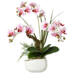 Möbelix Kunstpflanze Orchideen Rosa, Topf: Weiß, H: 46 cm