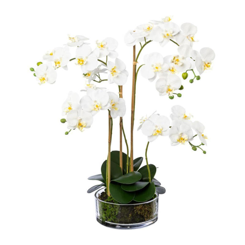 Kunstpflanze Orchidee Weiß, Topf: Glas, H: 50 cm