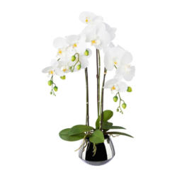 Kunstpflanze Orchideen, Weiß Topf: Silberfarben, H: 55 Cm