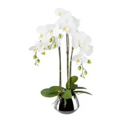 Kunstpflanze Orchideen, Weiß Topf: Silberfarben, H: 55 cm