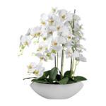 Möbelix Kunstpflanze Orchideen Weiß, Topf: Weiß, H: 63 cm