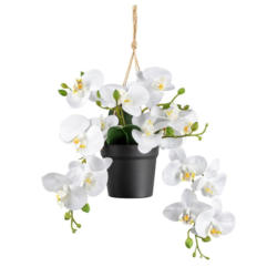 Kunstpflanze Orchideen Weiß, Topf: Schwarz. H: 25 Cm