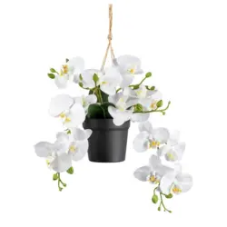 Kunstpflanze Orchideen Weiß, Topf: Schwarz. H: 25 cm