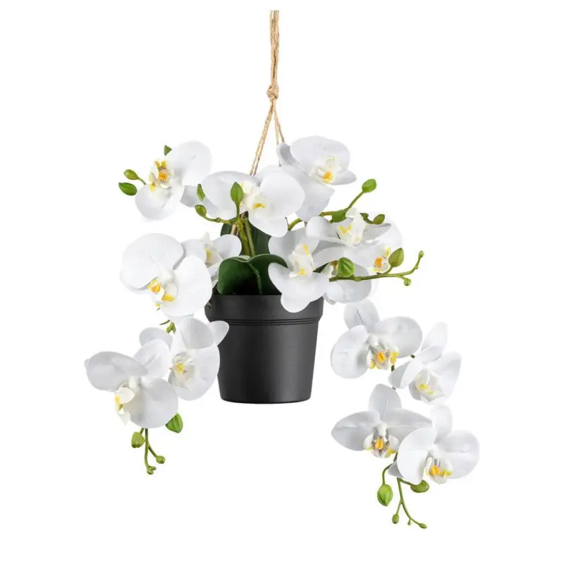 Kunstpflanze Orchideen Weiß, Topf: Schwarz. H: 25 cm