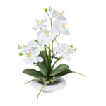 Möbelix Kunstpflanze Orchideen Weiß, Topf: Weiß, H: 41 cm