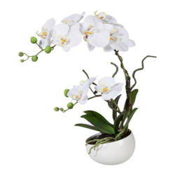 Kunstpflanze Orchideen Weiß, Topf: Weiß, H: 42 cm