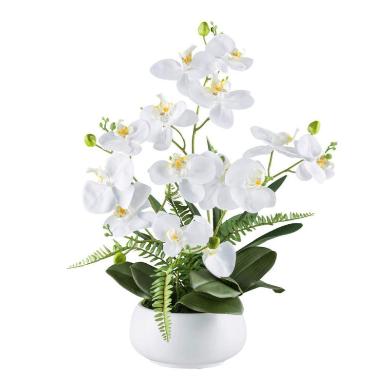 Kunstpflanze Orchideen Grün/Weiß, 55 cm