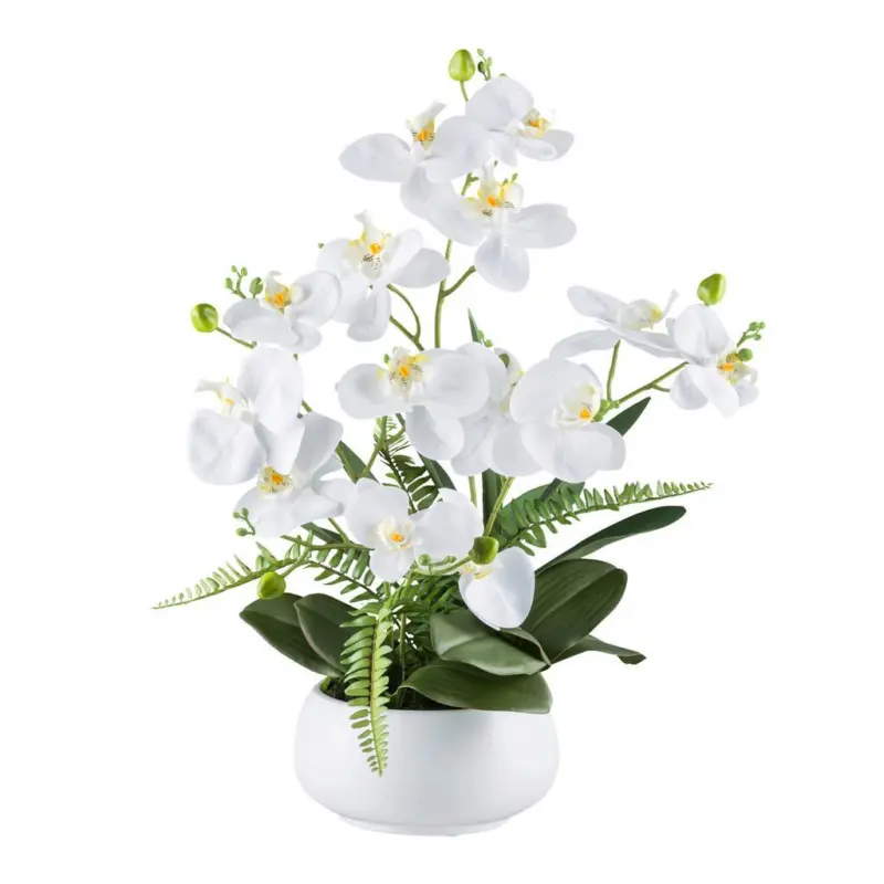 Kunstpflanze Orchideen Gr&uuml;n/Wei&szlig;, 55 cm