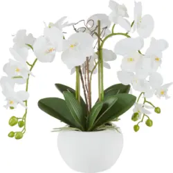 Phalänopsis Kunstpflanze