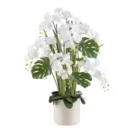 M&ouml;belix Kunstpflanze Orchideen Creme/Gr&uuml;n/Wei&szlig;, 120 cm