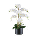 Möbelix Kunstpflanze Orchideen Grün/Schwarz/Weiß, 77 cm