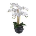 Möbelix Kunstpflanze Orchideen Grün/weiß/schwarz, 70 Cm