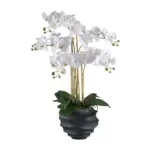 Möbelix Kunstpflanze Orchideen Grün/Weiß/Schwarz, 70 cm