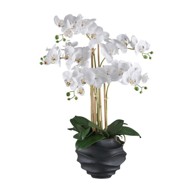 Kunstpflanze Orchideen Grün/Weiß/Schwarz, 70 cm