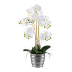 Möbelix Kunstpflanze Orchideen Grün/Silberfarben/Weiß, 62 cm