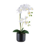 Möbelix Kunstpflanze Orchideen Grün/Schwarz/Weiß, 50 cm