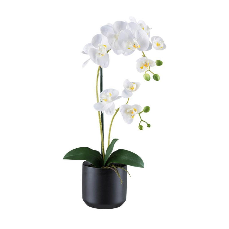 Kunstpflanze Orchideen Grün/Schwarz/Weiß, 50 cm